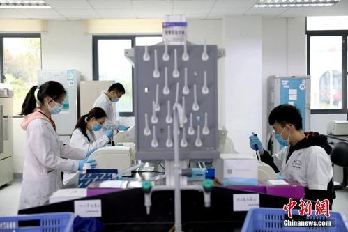 打卡介苗能否減少新冠肺炎感染風(fēng)險(xiǎn)？專家回應(yīng)與技術(shù)開(kāi)發(fā)進(jìn)展